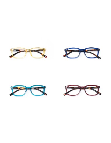 Savona - Kit of 24 Reading Glasses