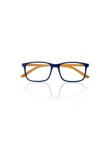  509 - Glasses For Presbyopia
