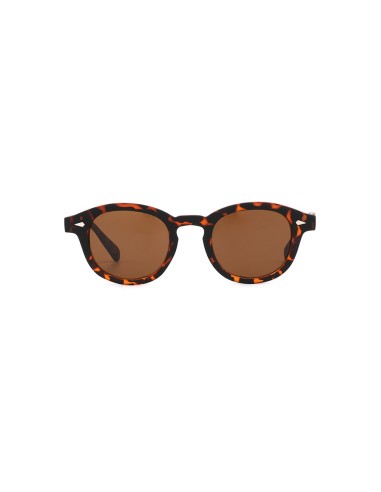 Sunglasses -  2602 Havana-Brown Lenses