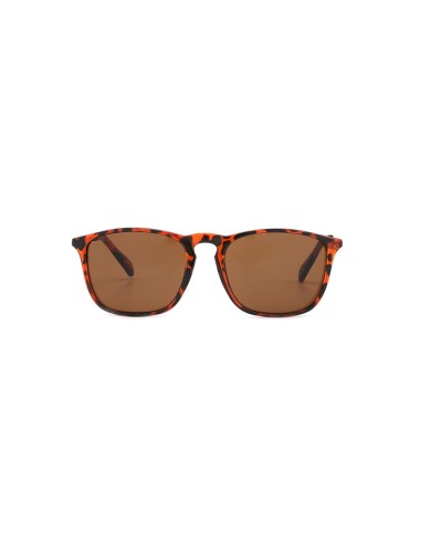 Online Sunglasses -  2704 Havana/Gold-Brown Lenses